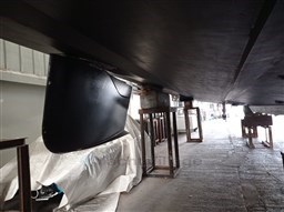 PHOTO-2024-02-16-08-46-05 (2).jpg