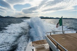 WhatsApp Image 2025-01-03 at 11.40.15 (4).jpeg