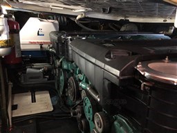 IMG-20250213-WA0055 copia.jpg