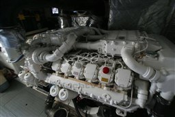 DSC06103.jpg