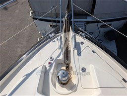 PHOTO-2024-11-02-12-31-48 (1)