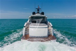 large_4083907
