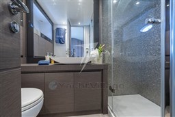 large_4083942