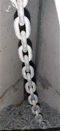 Danish Rose 32 BONNEFOOI (46).jpg