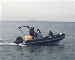 IMG_0224.jpeg