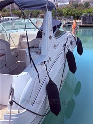 IMG_0867.jpeg