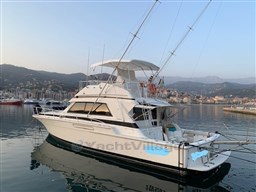 IMG_1714_LI (2).jpg
