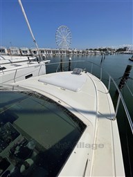 IMG_5602.jpeg