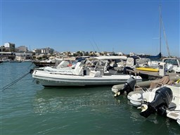 WhatsApp Image 2024-10-18 at 12.00.37.jpeg