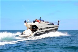 IMG_9663-1-1030x687.jpg