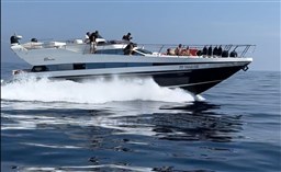 SeaGlide_Conam_home-1030x632.jpg