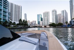 Swan-24