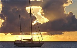 0019_gallery-shaitan