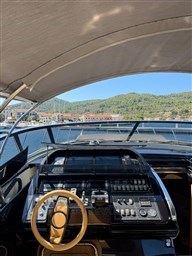 WhatsApp Image 2025-09-08 at 11.58.25.jpeg