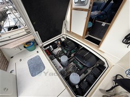 43ac3_ew0yu_img_7232.jpg