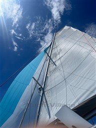 54945_tqtl3_18f54459-5ae9-4ff2-8113-932e868b6643.jpg