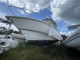 914f1_msy98_img_5743.jpg
