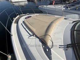 9eff3_pnpk9_img_5075.jpg