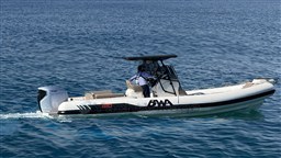 BWA 308 GTO