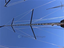 46b75_m0xmg_saffier_28_leopard_28.jpg