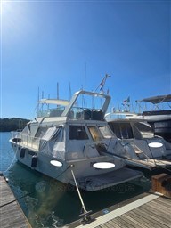 802xjnp8qt.jpg