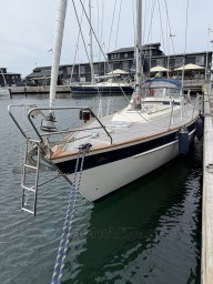 3pa16z7tjd.jpg