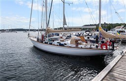 302j7t46ak.jpg