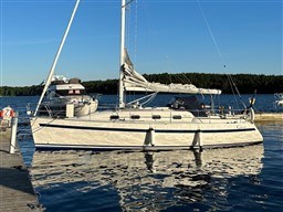tmgyo7518h.jpg