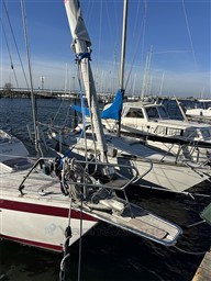 7mv893rkxk.jpg