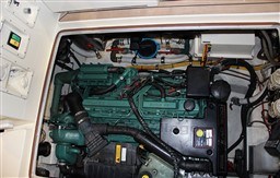 awq73j8ou5.jpg
