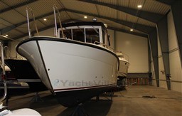 qu85716odd.jpg