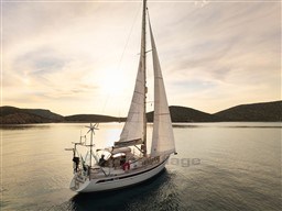 myhvic5aoq.jpg