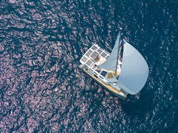 9412c_utmfq_4_spinnaker_from_top_2_.jpg