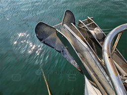 45691_431qw_22.jpg