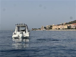 d6b1c_catqy_img_0882.jpg