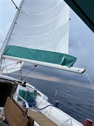 17f9c_tba22_img_2597.jpg