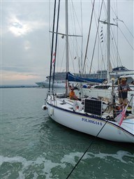 8d207_4mje6_img_20241215_180640_455.jpg