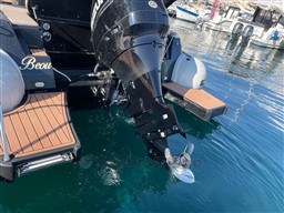 46167_ptinz_master_775_cap-med_15.jpg