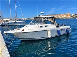 e4c93_sxuom_boston_whaler_205_conquest_cap_med_1.2.jpg