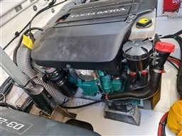 5de2e_y2ydp_20230806_093209.jpg