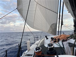 863b7_iu7ih_img_5431_2.jpg