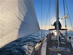 ce99f_hgo2x_2.4.jpg