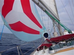 7ad36_rxjay_p1040430_-_spi_.jpg