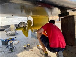 5c32a_n9nrm_cap_med_queensland_55_24.jpg