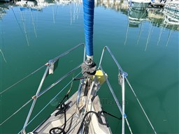 70678_tv9kh_img_0657.jpg