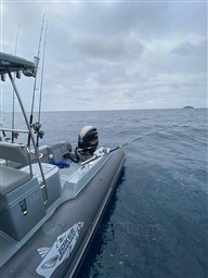 4d11a_ozab6_7018092c-2ae5-49fe-bd29-f175a6ab0e00.jpg