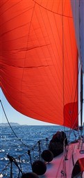 8944b_dnq8x_20250729_112834.jpg