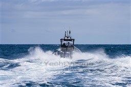 b5bc1_ziszu_ribs_oert_barcelona_yachting_-_2-1.jpg