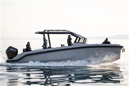 50796_dxfx3_roamer_29_-_large23.jpg