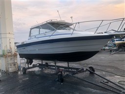 d3b4d_e662u_bayliner_trophy_bandol_75_.jpg